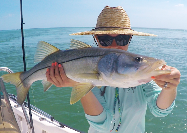 Snook - Robalo, Lagooner Fishing